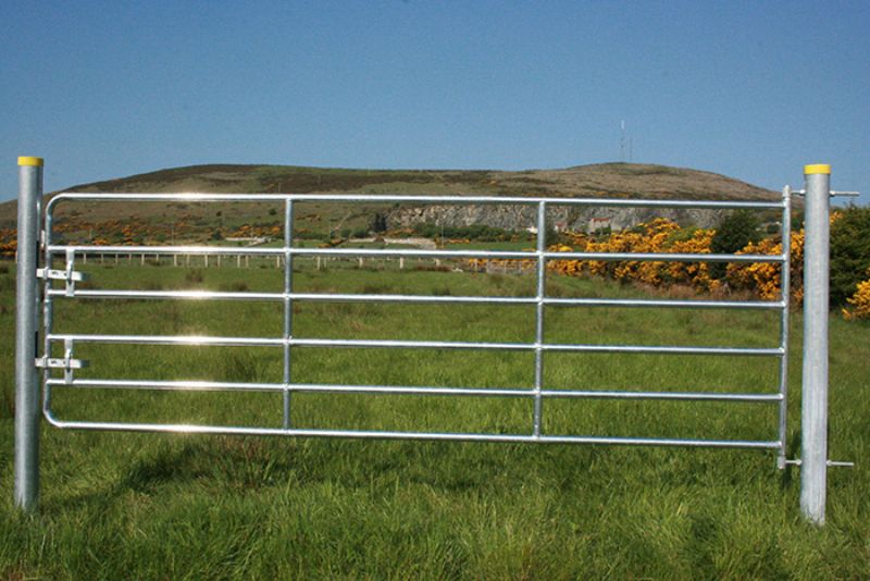Heavy Galvanised D6 Gate Products for Agricultural & Farm Supplies